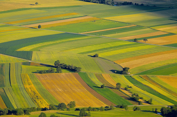 DearSA land expropriation