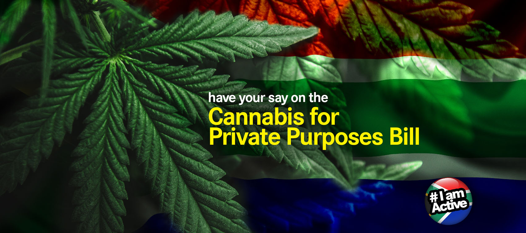 have your say on Cannabis for Private Purposes Bill DearSA Cannabis for private purposes