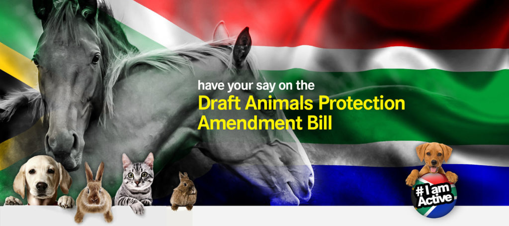 Help shape the Animals Protection Act | Dear South Africa