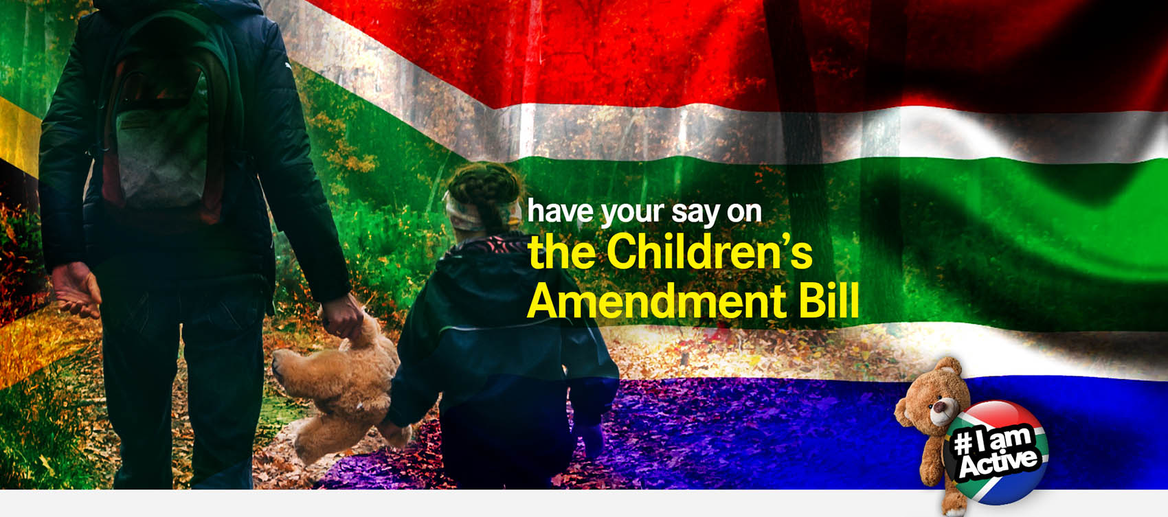 Parliament seeks comment on Childrens Amendment Bill ...